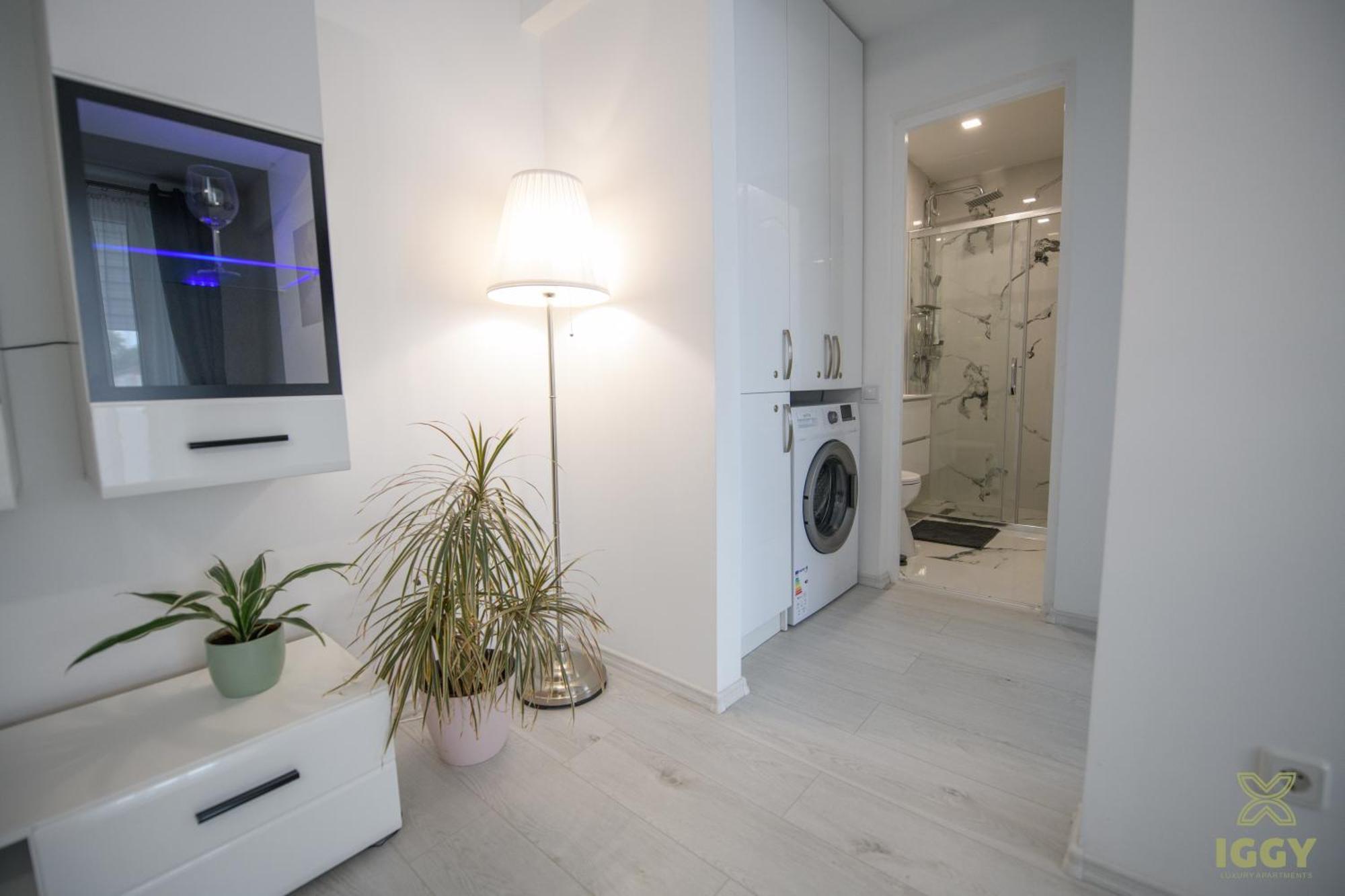 Iggy Luxury Apartment Hunedoara